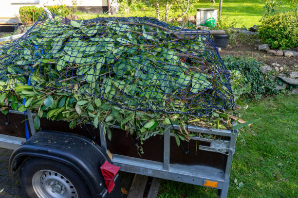 Best Carpet Removal and Disposal  in Far Hills, NJ